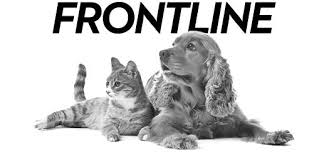 Frontline