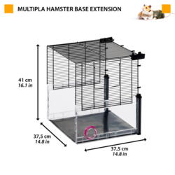 Multipla base