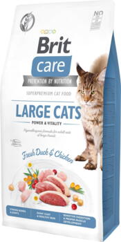 Care Cat GF Large