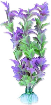 20cm plante med lilla blomster