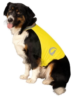 Nightwalk Safety Vest