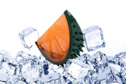 Kølelegetøj – Citrusskive