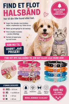 Flotte halsbånd med fine detaljer