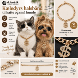 Dollar kædehalsbånd