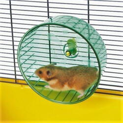 Savic Rolly Hamsterhjul