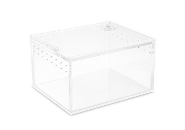 Micro Acrylic Terrarium