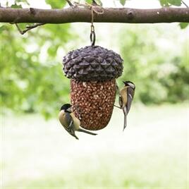 Best For Birds agern Feeder