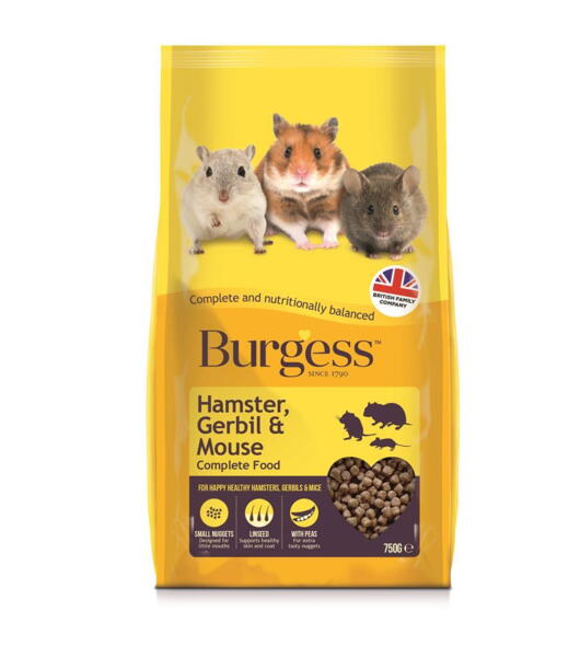 Burgess hamster