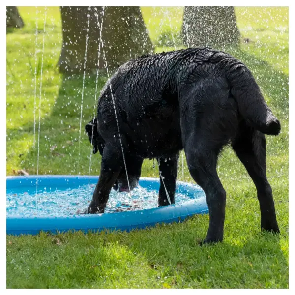 Hundepool med springvand