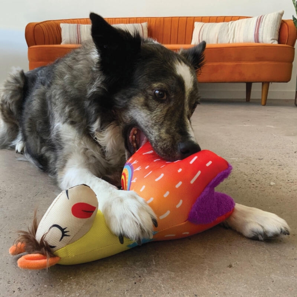 KONG Ballistic Llama