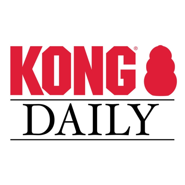 KONG Daily XL