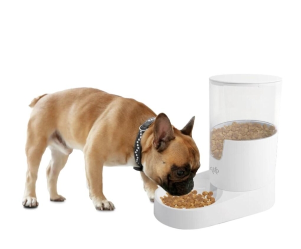 AFP Lifestyle Food Feeder