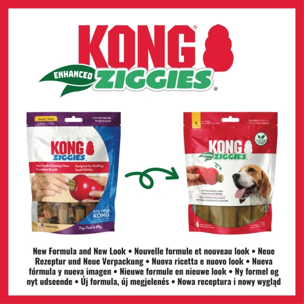 KONG Ziggies