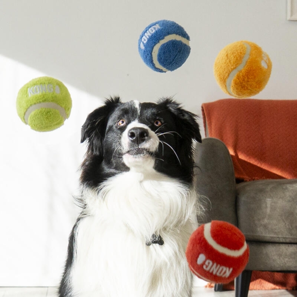KONG Sport Softies Balls
