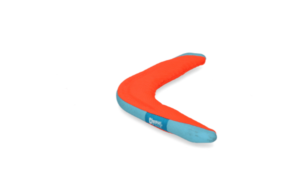 Chuckit Boomerang