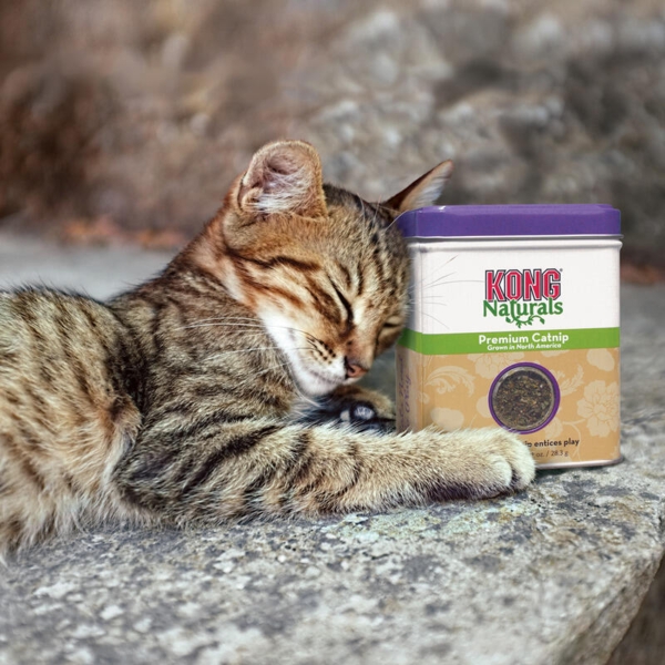 KONG Naturals Catnip