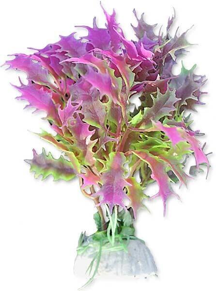 Lille plante i pink og grøn 10cm