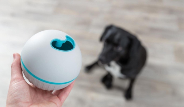 Trixie Snackbold grå