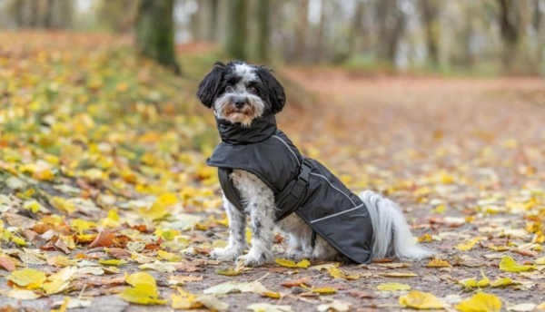 Trixie Brizon 2.0 vinterjakke