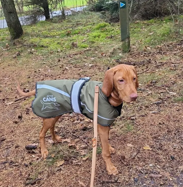 2 i 1 regn-og vinterjakke