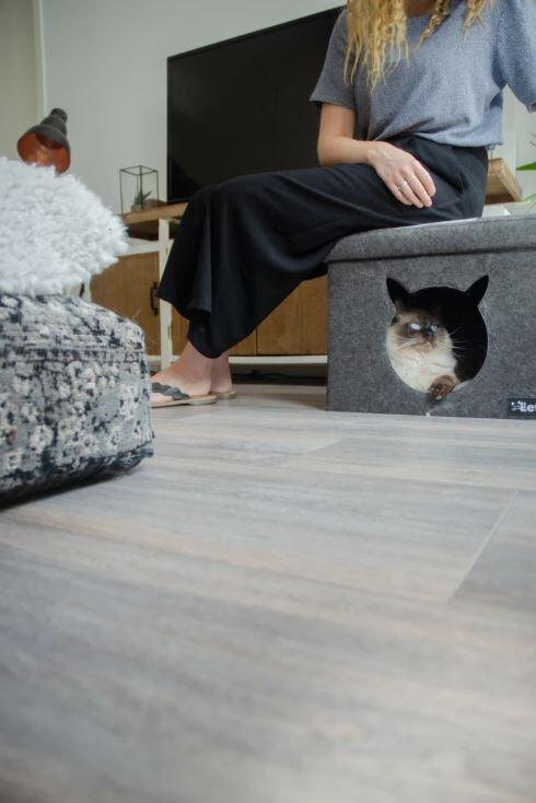 Let’s Sleep Pet Cube