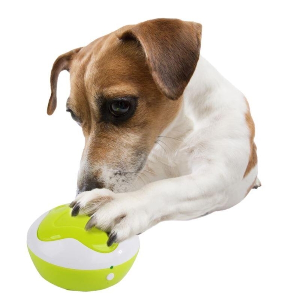 AFP Træningsknapper