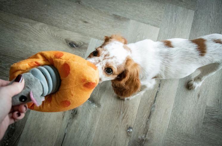 Double Wobble Cheesy