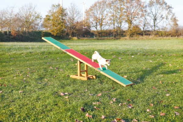 Trixie Agility Vippe
