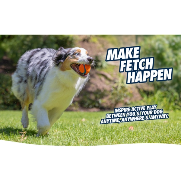 Chuckit! Fetch Ball