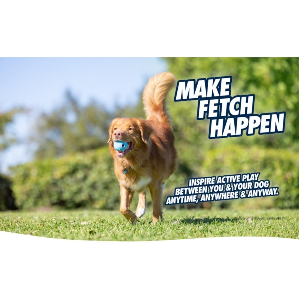 Chuckit! Fetch Medley Gen