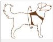 Blød hundesele “Superman”