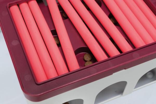 Strategispil til katte