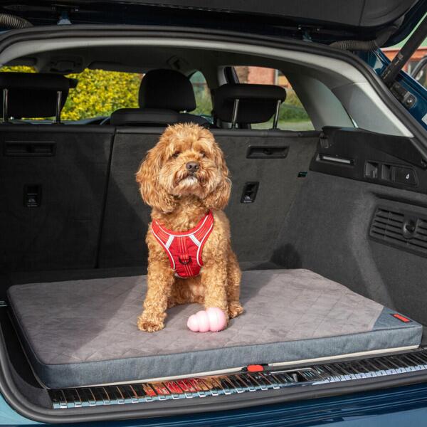 KONG rejsemåtte til hunde