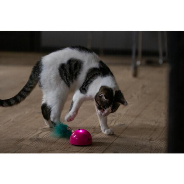 Interaktiv Robocat Mouse