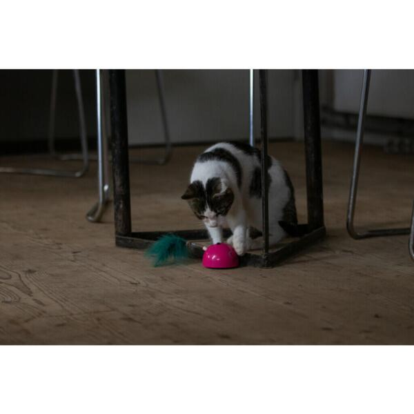 Interaktiv Robocat Mouse