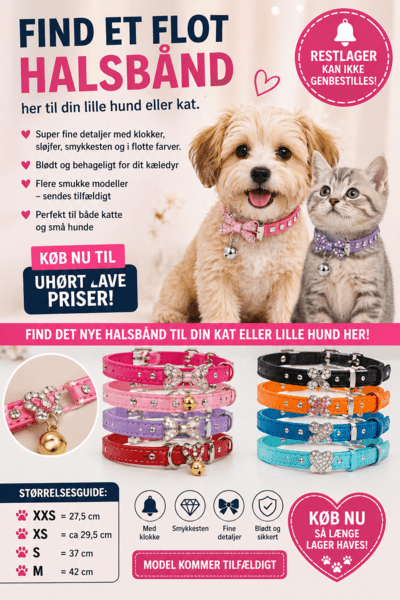 Flotte halsbånd med fine detaljer