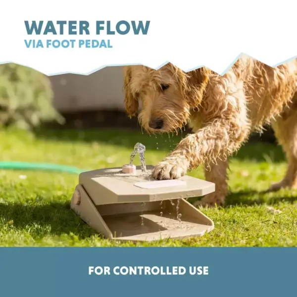 Coolpets Splash Water Fountain