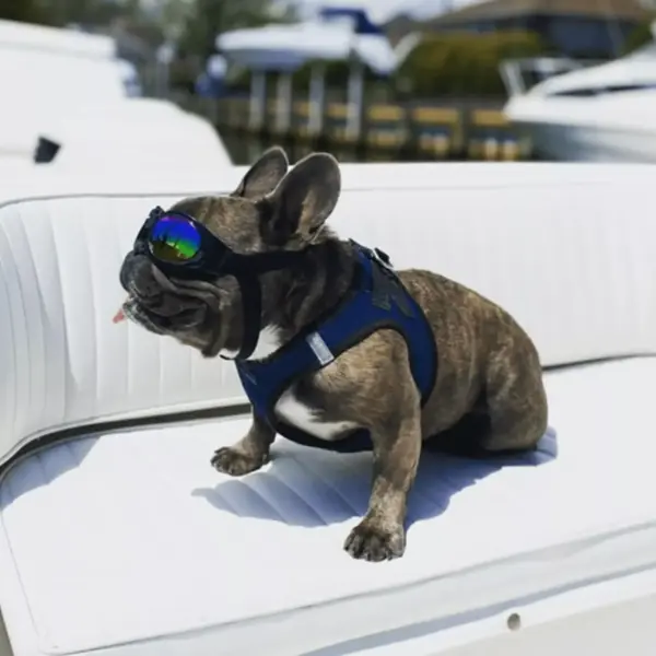 K9 Sport Shades – Beskyttelsesbriller