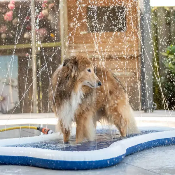 Vandlegemåtte til hunde og børn