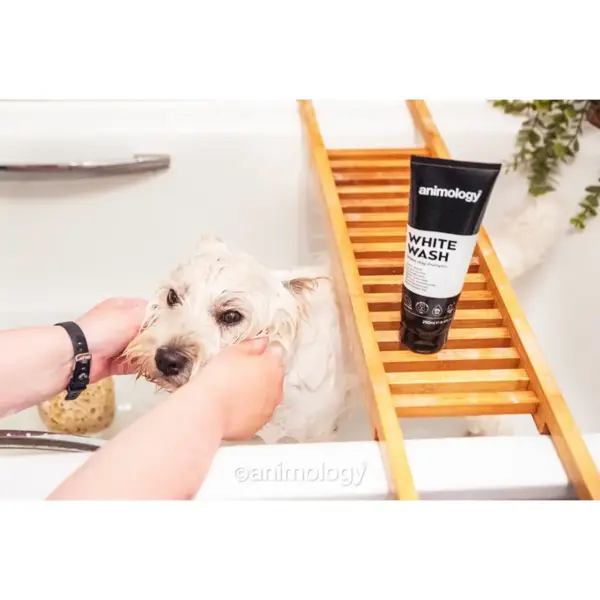 Animology White Wash