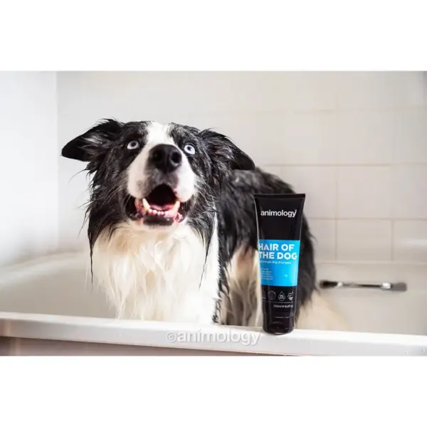Animology Hair Of The Dog