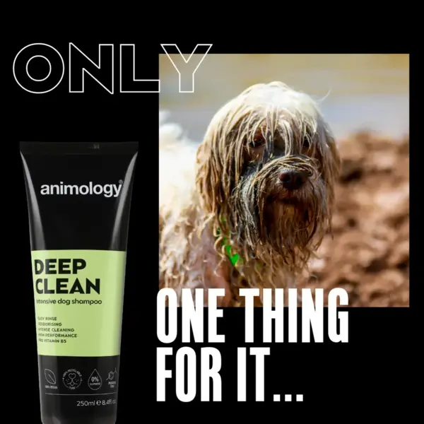 Animology Deep Clean Intensive