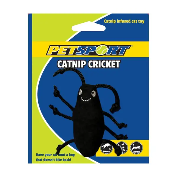 Catnip Cricket