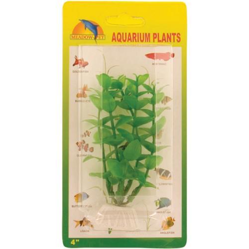 Grøn Ludwigia akvarieplante