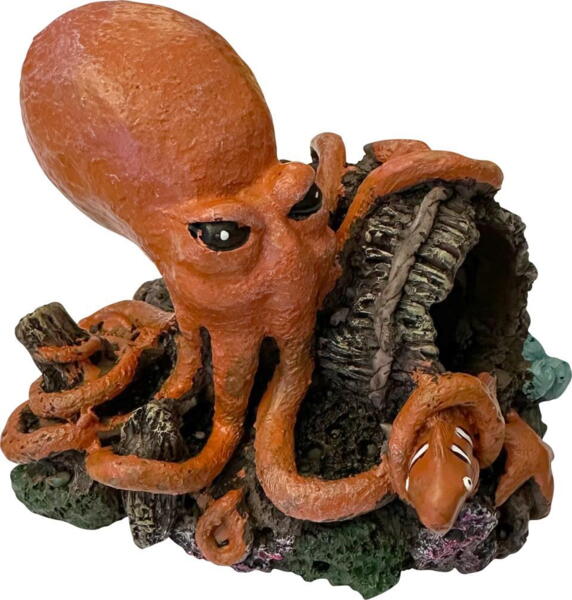 Blæksprutte med tønde