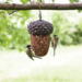 Best For Birds agern Feeder