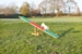 Trixie Agility Vippe