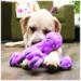 KONG SoftSeas Octopus L