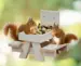 Egern Picnicbord