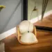 Cat Toy Ballot – Kradselegetøj